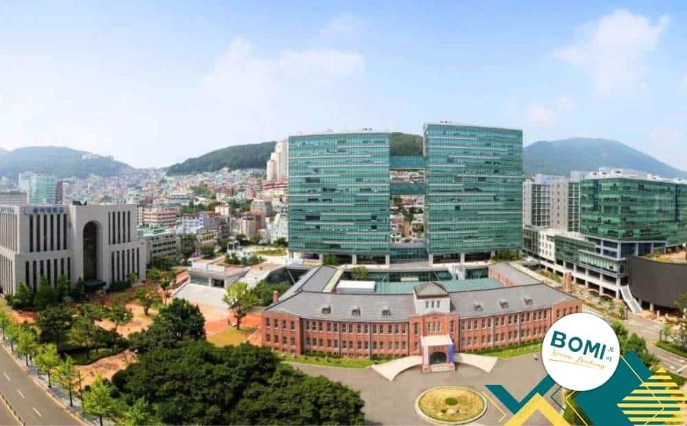 donga university bomi