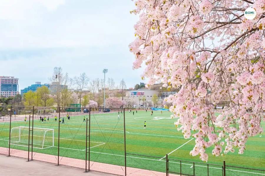 Đại Học Kyonggi (경기대학교) 2 Đại học Kyonggi có các ngành thế mạnh như Du lịch, Quản trị kinh doanh, Thiết kế và Animation.