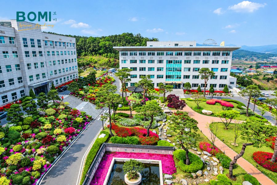 Dai Hoc Seojeong 2