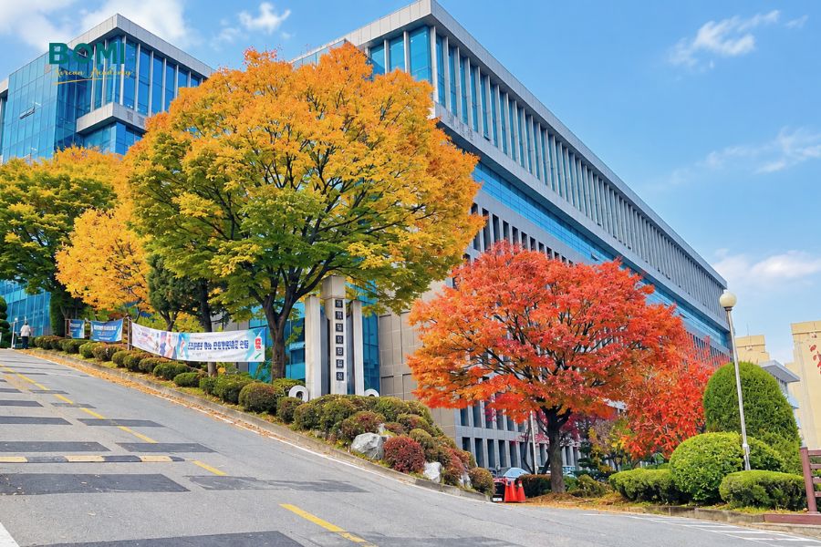 daelim university 2